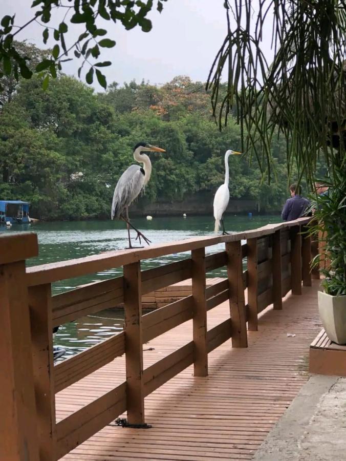 Apartamento Barra Da Tijuca Ilha Da Gigoia *